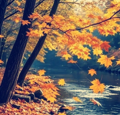 ӺӼ