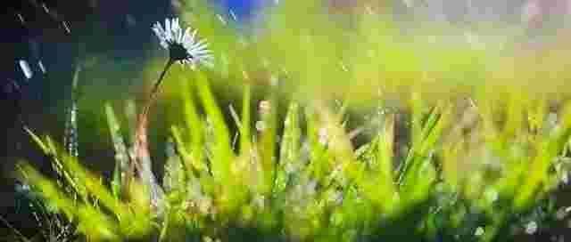 这天,这雨 这天,这雨