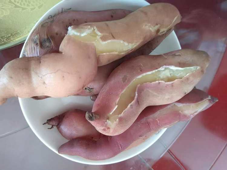 �ӳ�����