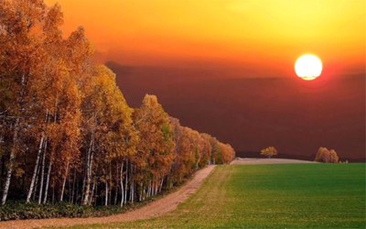 �ڳ�����������