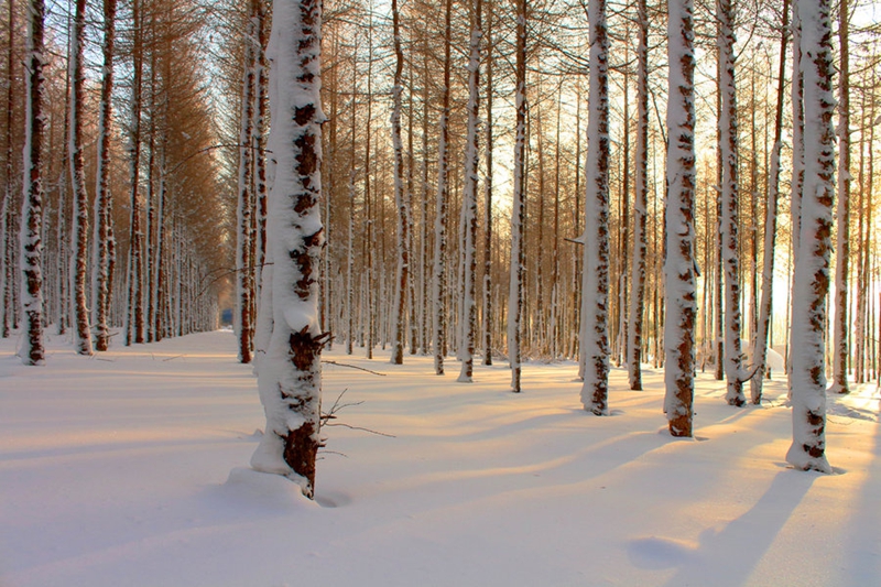 ͬ��Ϣ��������