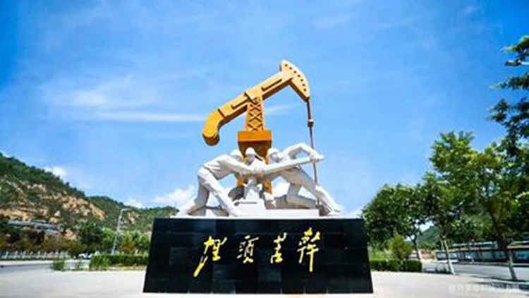 ��ʶ������