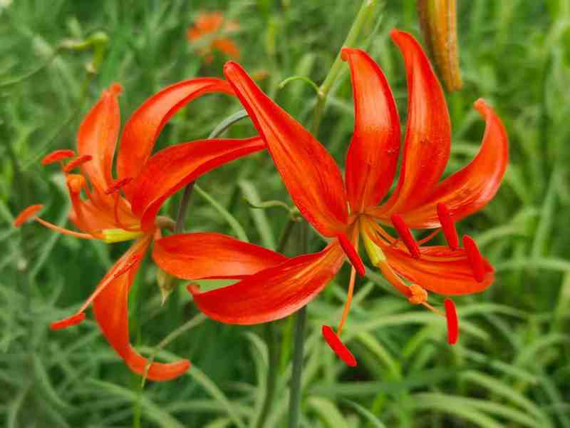 黄土高原行记(组诗)