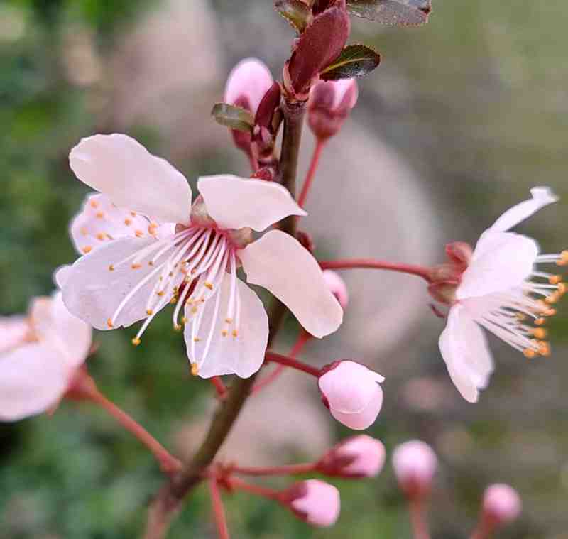 ����һ�괺��ʱ