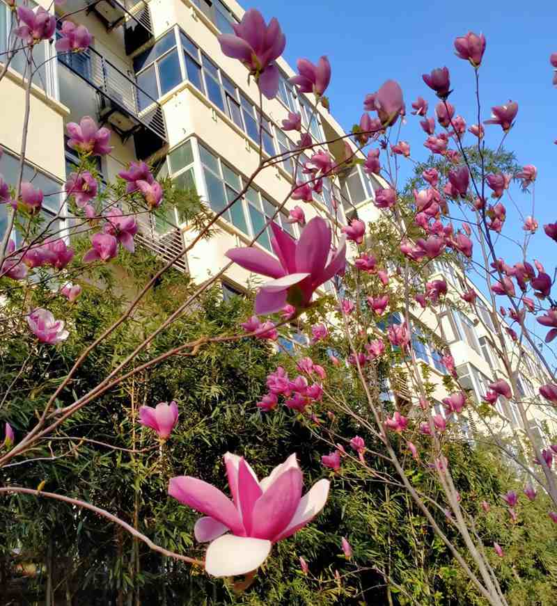 һ������������