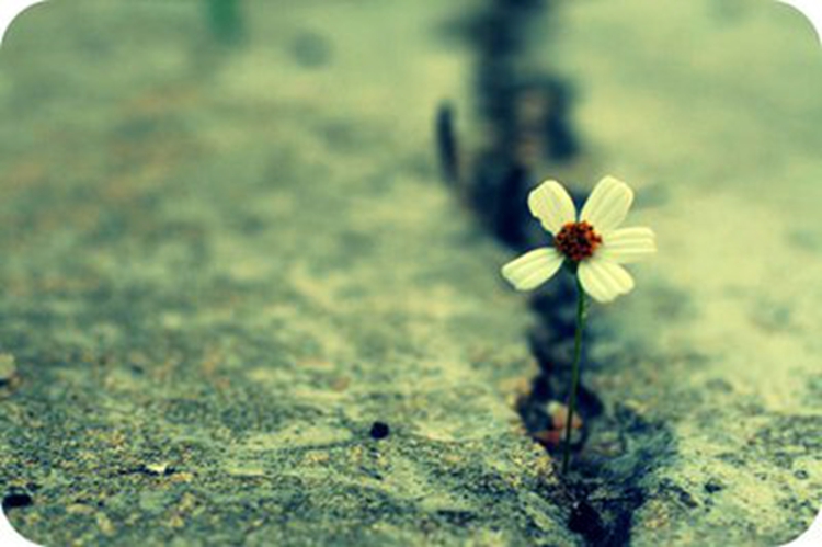 С������